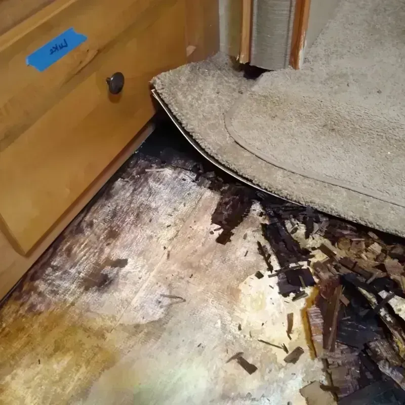 Wood Floor Water Damage in Carbondale, CO